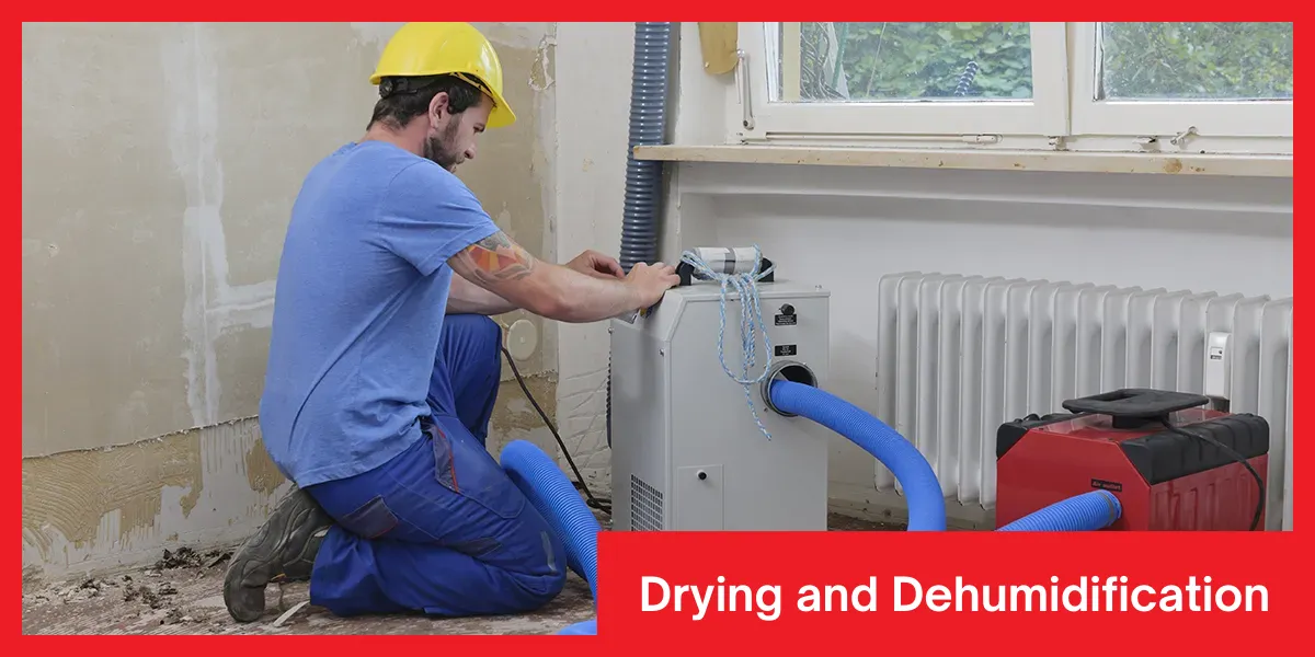 Drying and dehumidification process for water damage restoration