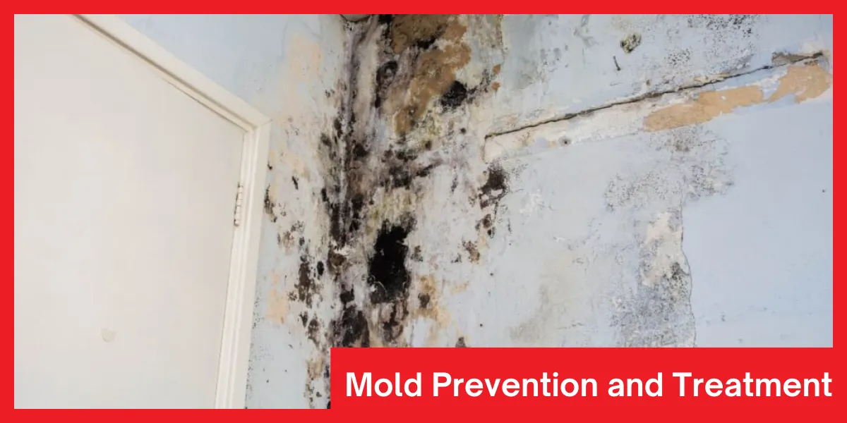 Tips for preventing and treating mold after water damage