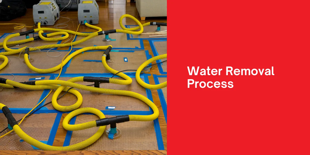 Water removal process for addressing water damage in homes or buildings