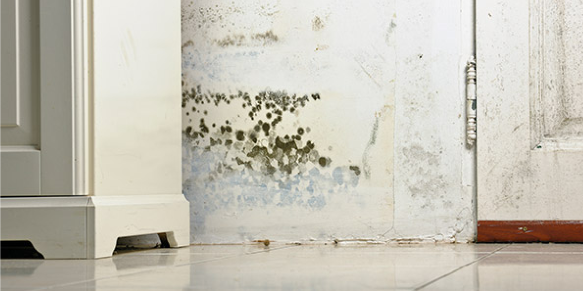 Blackwater Leads to Mold Growth