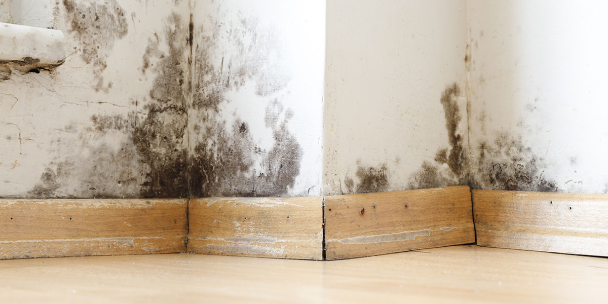 How to Prevent Water Damage in the Future