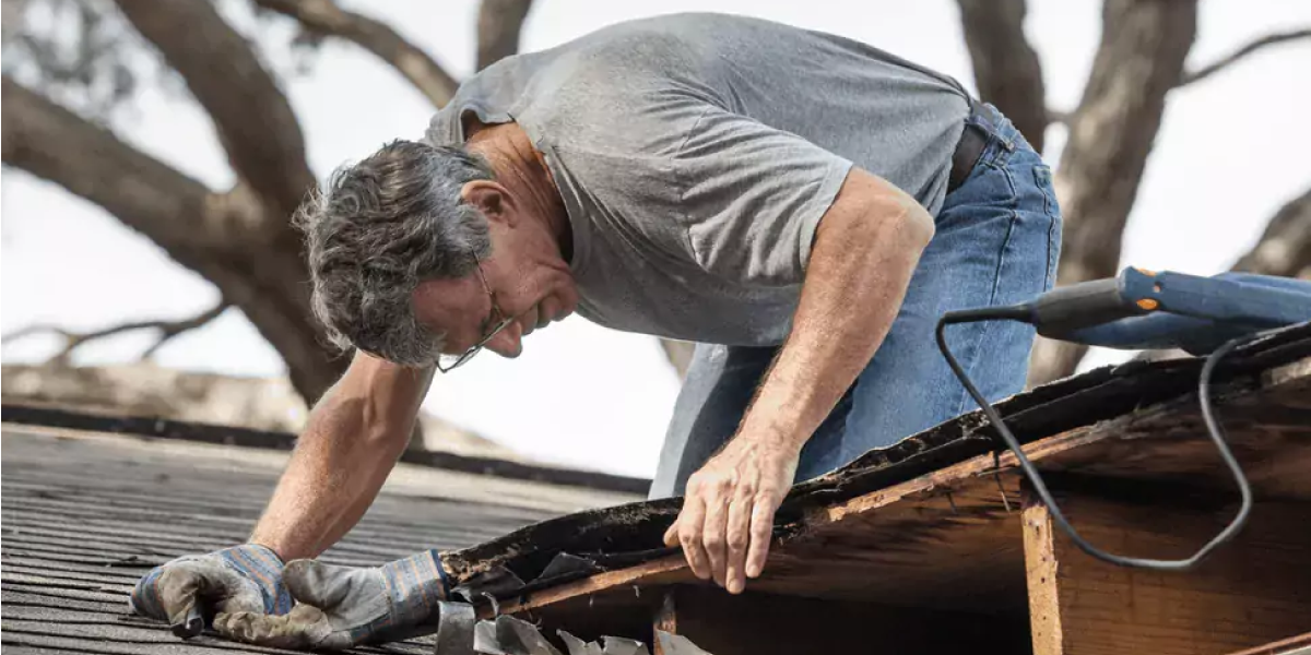 Inspect Your Roof Regularly