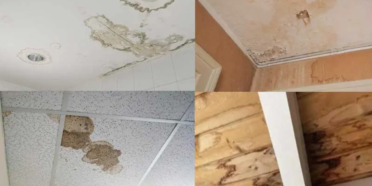 Signs of a Water-Damaged Ceiling