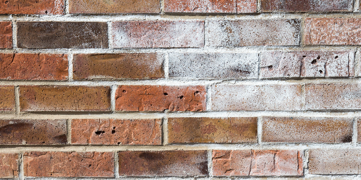 What is Efflorescence