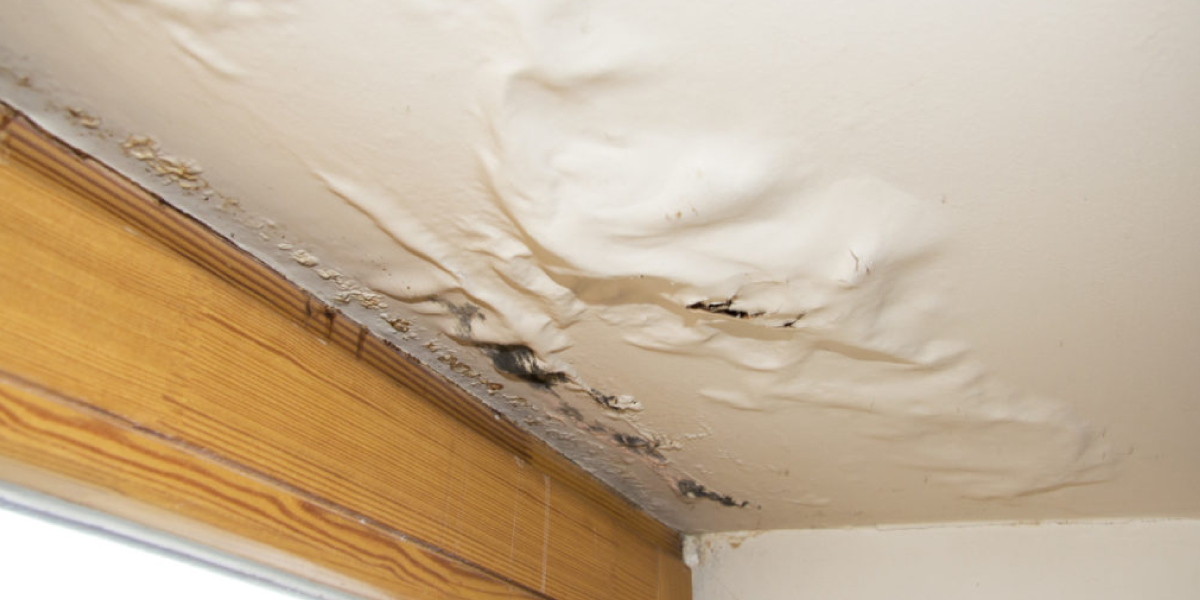 Common Causes of Ceiling Water Leaks