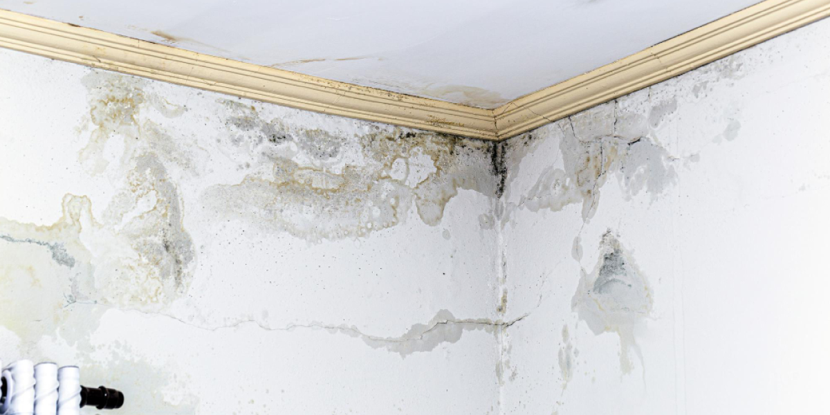 Preventing Future Ceiling Leaks