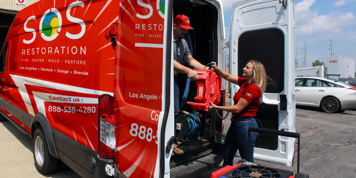 Call in the professional Call in the professional