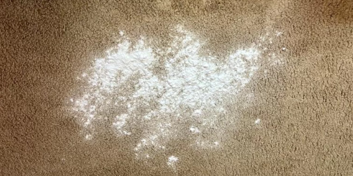 How do you clean mold out of carpet with white vinegar How do you clean mold out of carpet with white vinegar