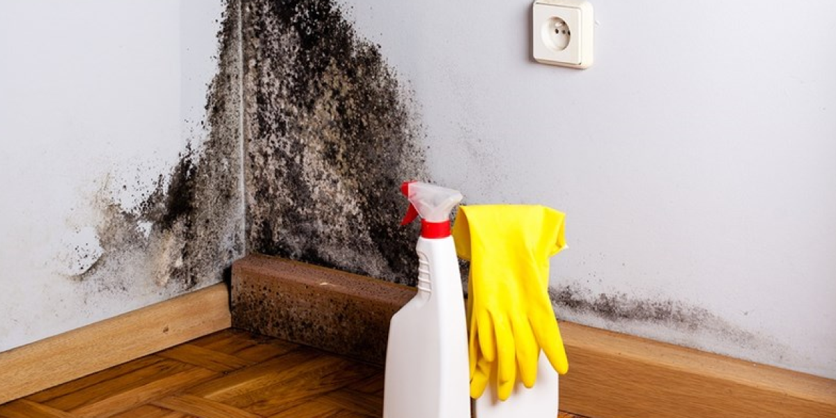 How to clean up mold on drywal How to clean up mold on drywall