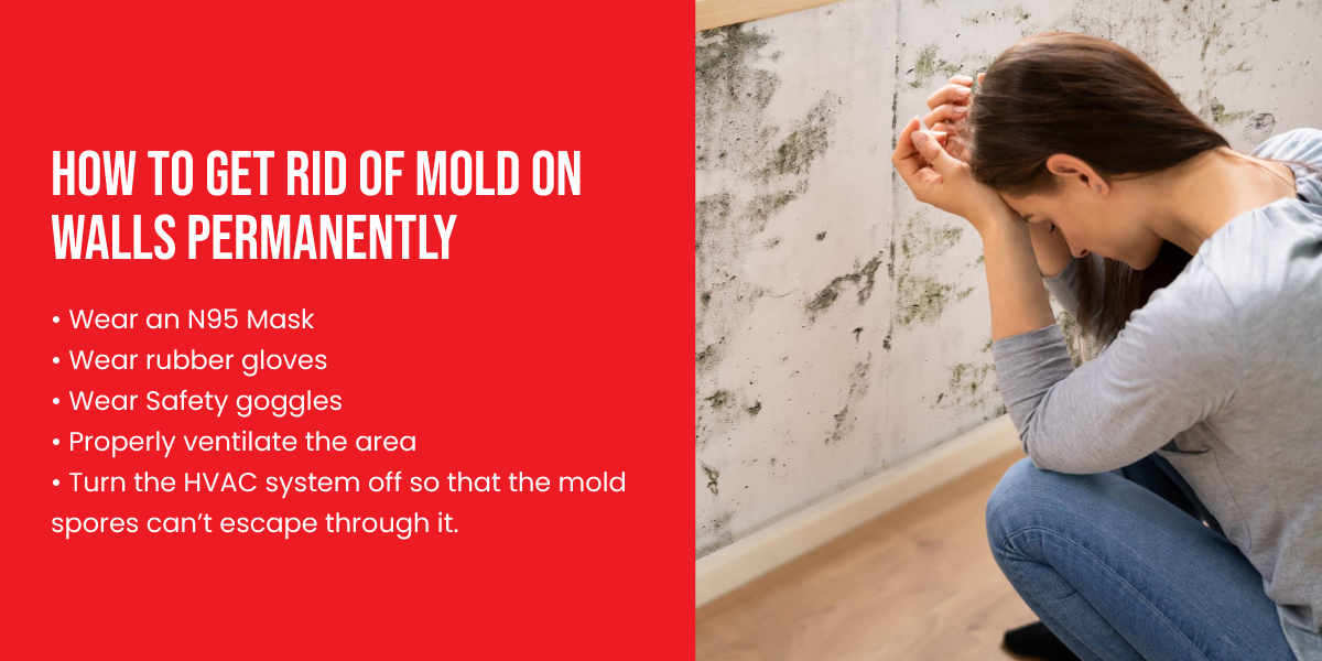 How to get rid of mold on walls permanently How to get rid of mold on walls permanently