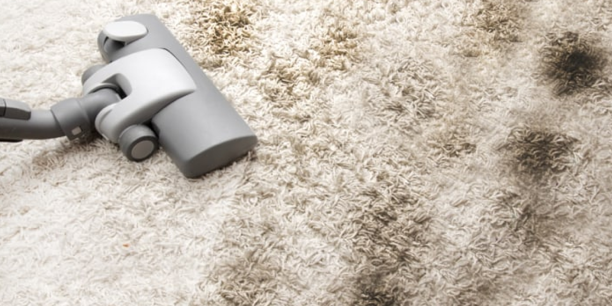 How to remove black mold from carpet How to remove black mold from carpet