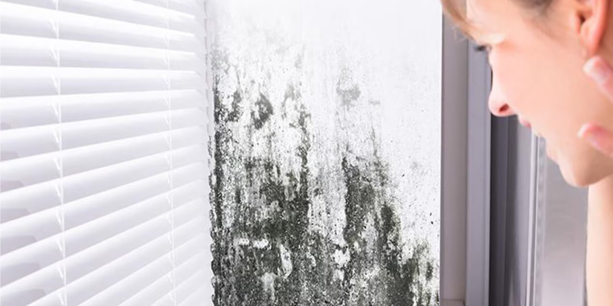 Look and Smell Around – Visual and Smell Check Look and Smell Around