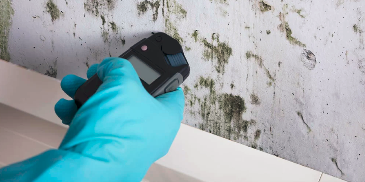 Use DIY Mold Test Kits Use DIY Mold Test Kits