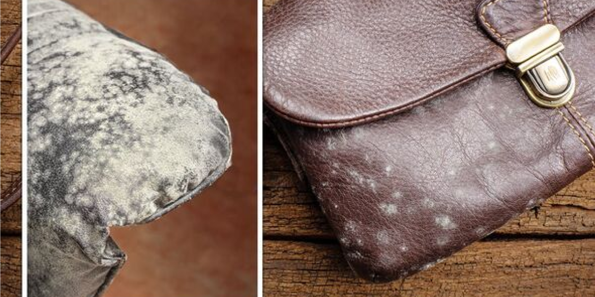 What is Mold on Leather What is Mold on Leather