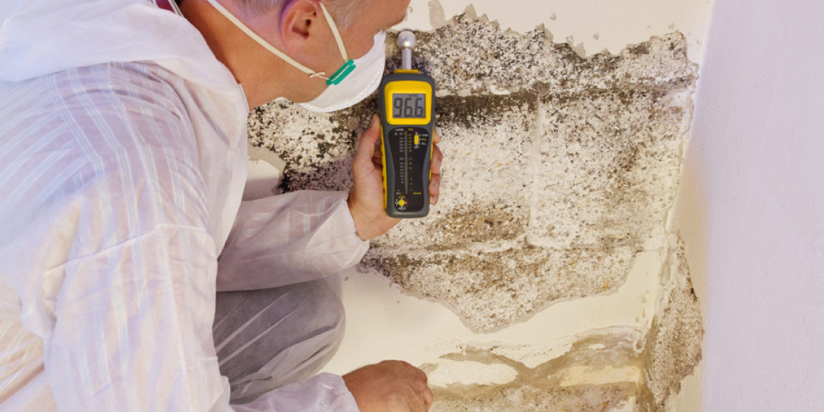 Tools That Can Help You Tackle the Mold Crisis Tools That Can Help You Tackle the Mold Crisis