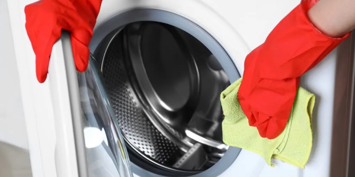 When Should You Call a Professional Mold Removal Company