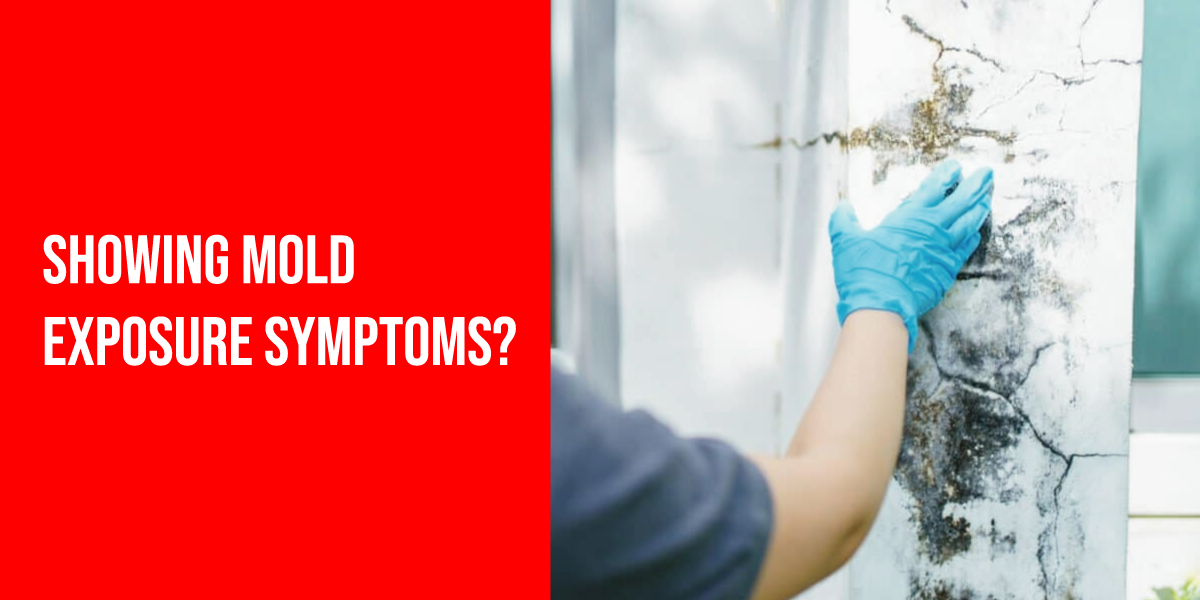 Symptoms of mold exposure